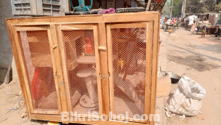 বিড়ালের বাসা